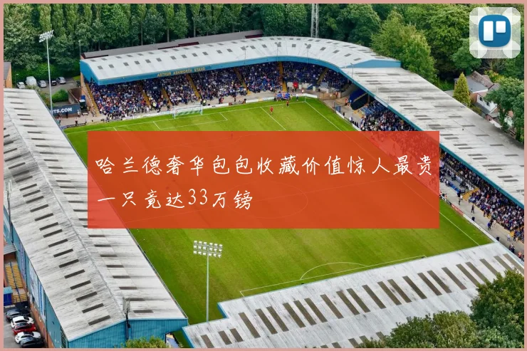 哈兰德奢华包包收藏价值惊人最贵一只竟达33万镑